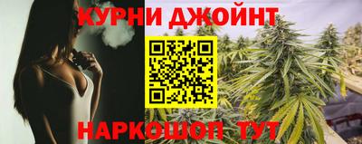сатива Нальчик